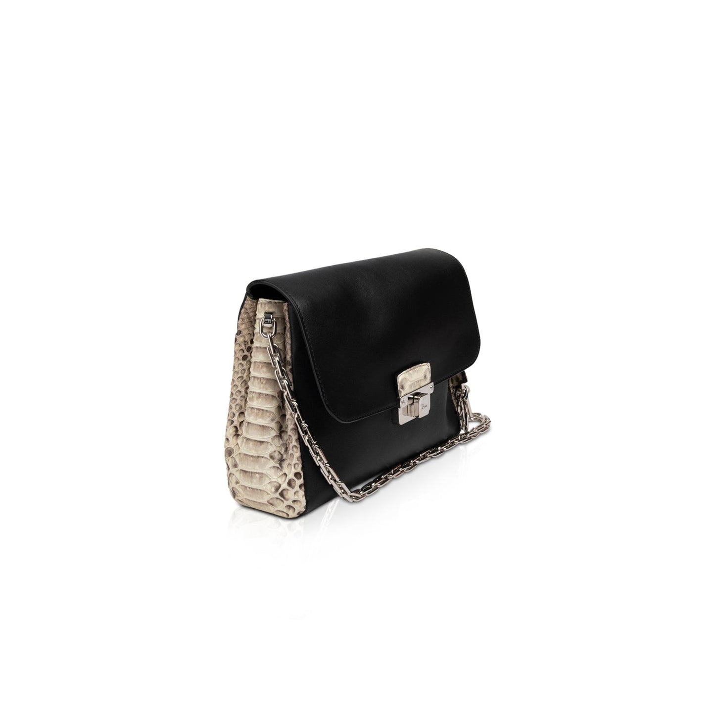 Christian Dior Python-Trimmed Diorling Bag