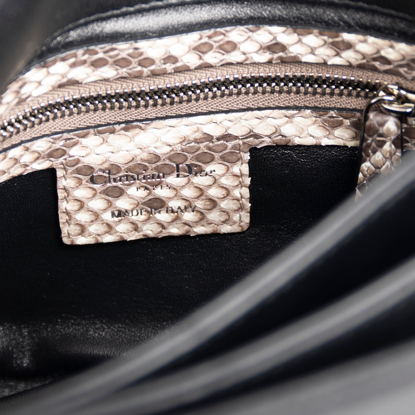 Christian Dior Python-Trimmed Diorling Bag