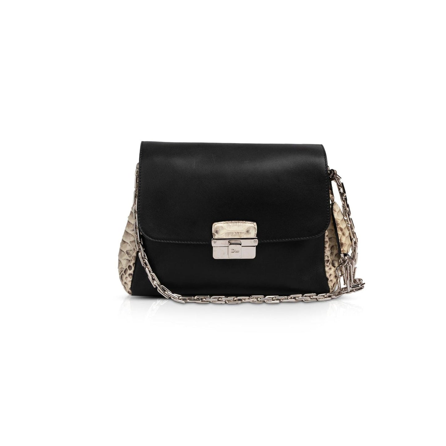 Christian Dior Python-Trimmed Diorling Bag