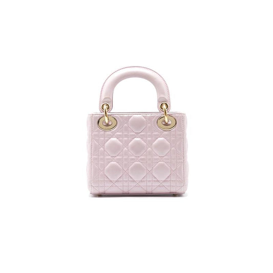 Luxury Dior Mini Lady Luxury Dior Tote