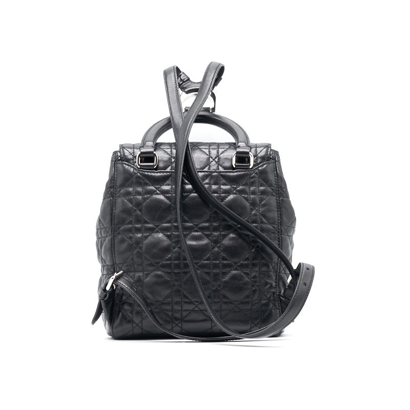 Luxury Dior Mini Backpack