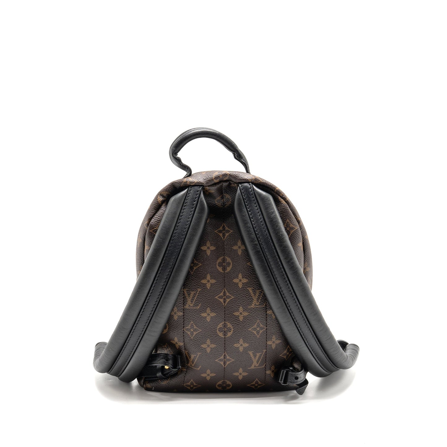 LOUIS VUITTON Palm Spring PM Backpack Monogram Canvas GHW