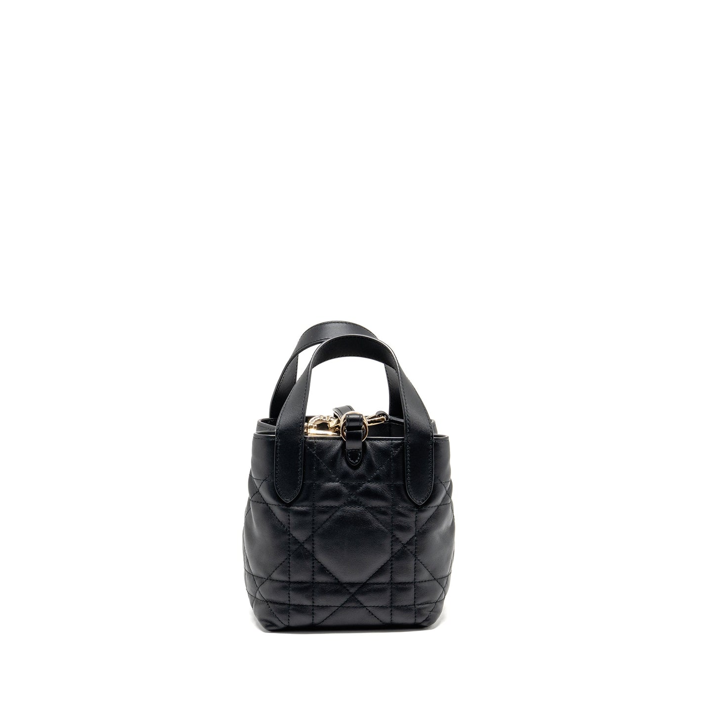 Dior Toujours Vertical Nano Tote Bag calfskin black LGHW