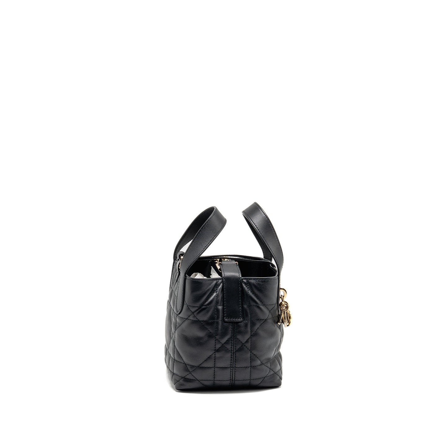 Dior Toujours Vertical Nano Tote Bag calfskin black LGHW
