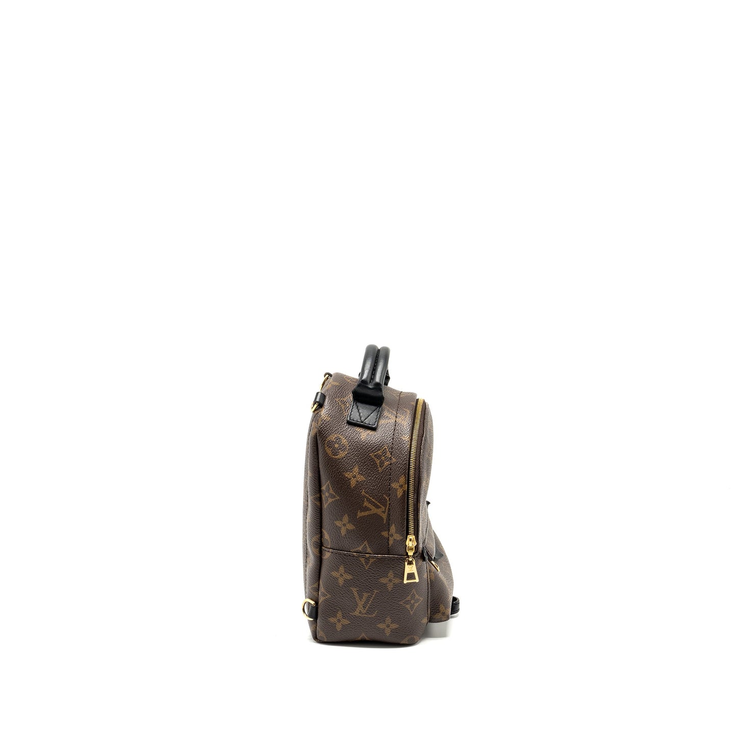 Louis Vuitton  Mini Palm Spring Backpack Monogram Canvas GHW