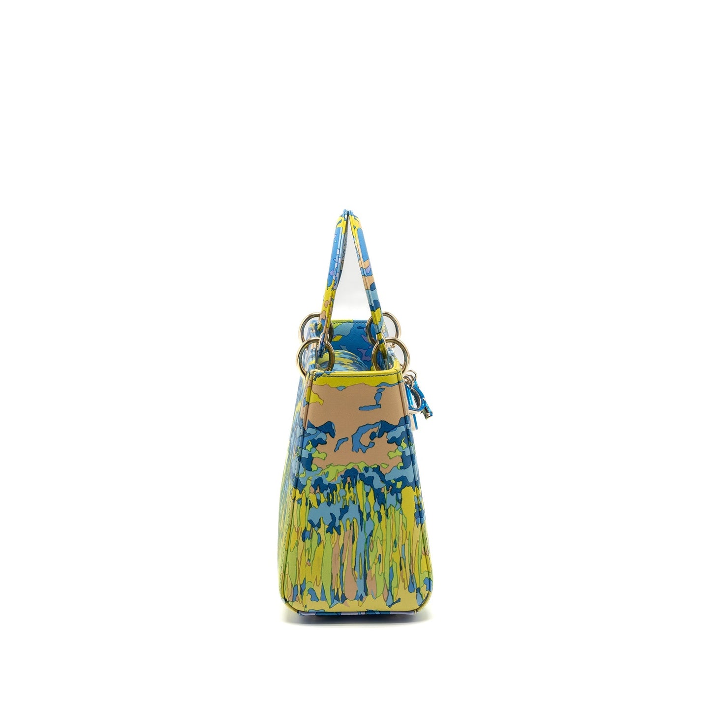 Luxury Dior Medium Lady Luxury Dior Bag Multicolour LGHW