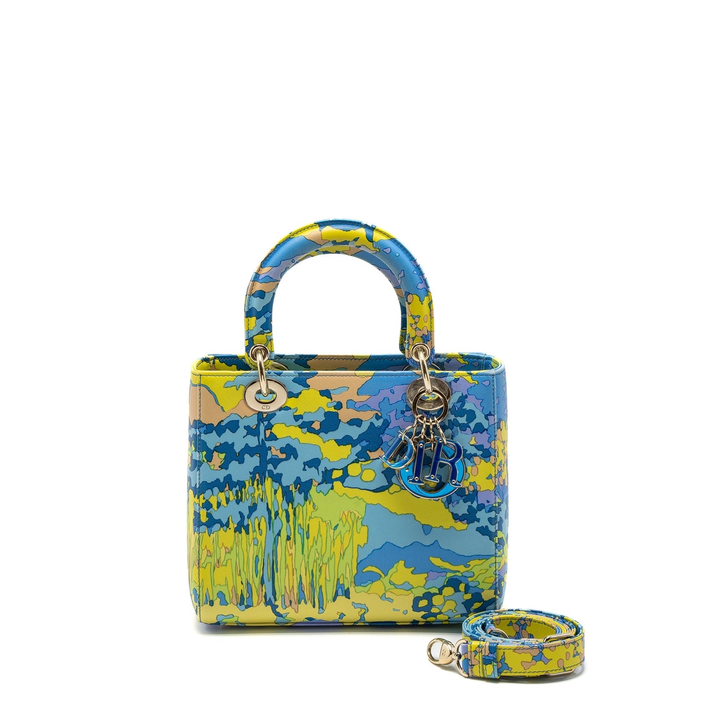 Luxury Dior Medium Lady Luxury Dior Bag Multicolour LGHW