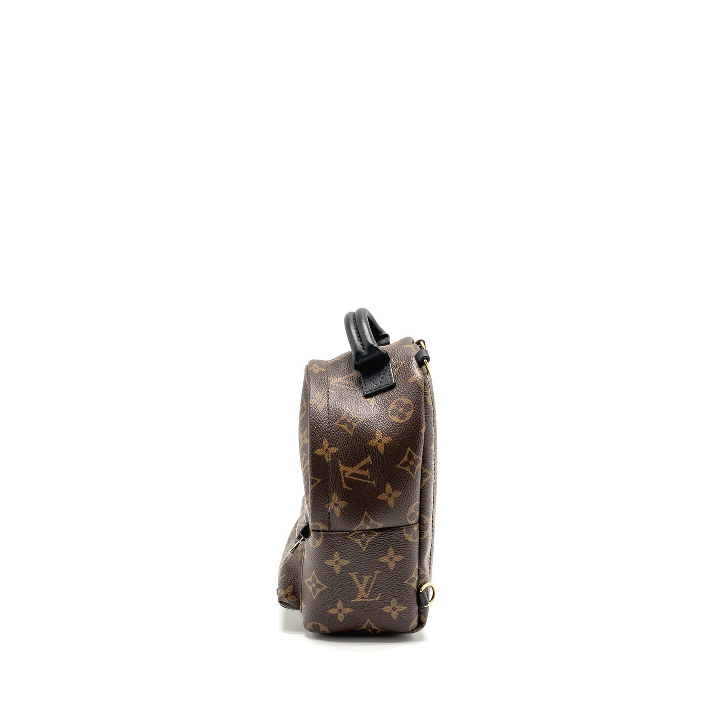 Louis Vuitton Mini Palm Spring Backpack Monogram Canvas GHW