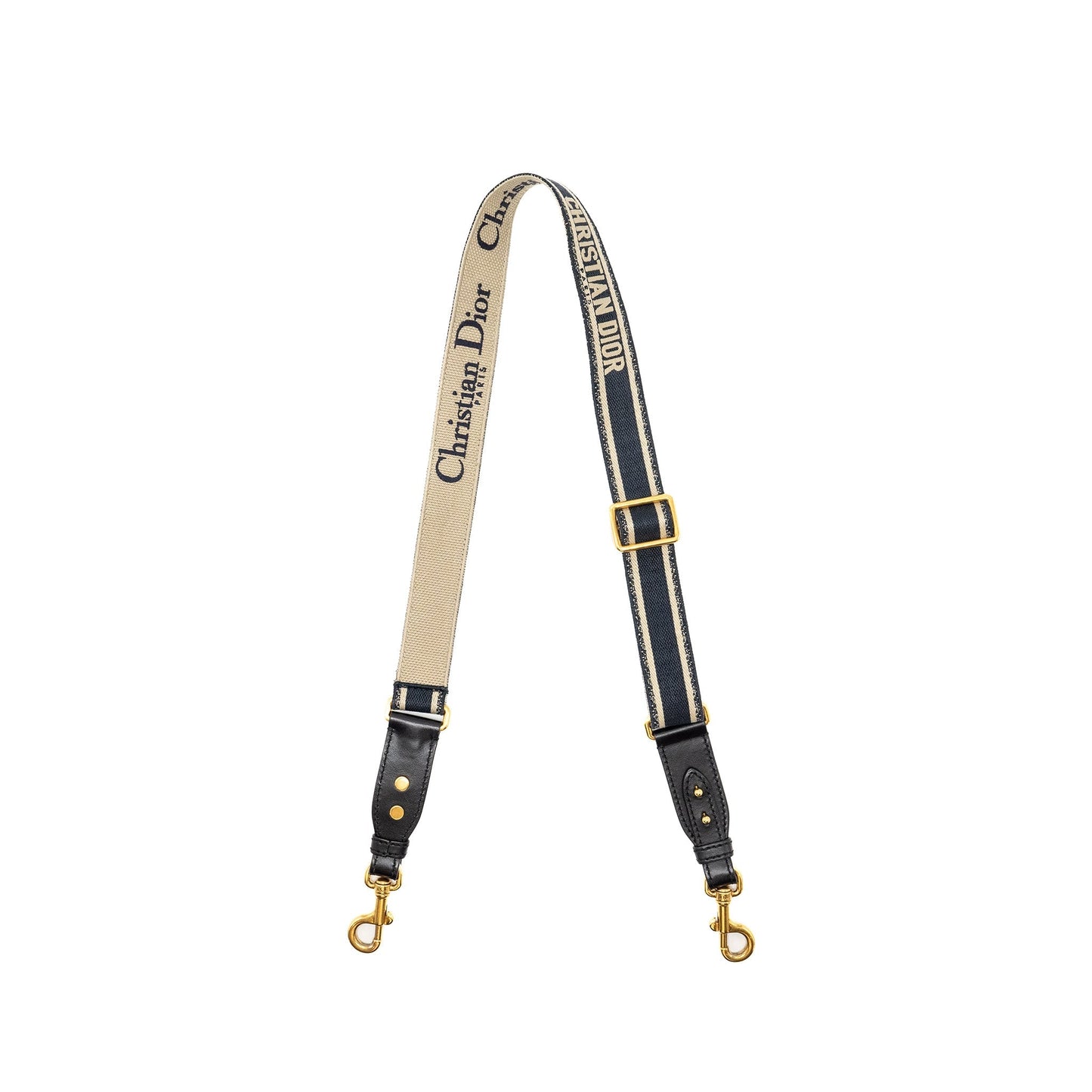 Luxury Dior Adjustable Shoulder Strap Embroidery Multicolour GHW