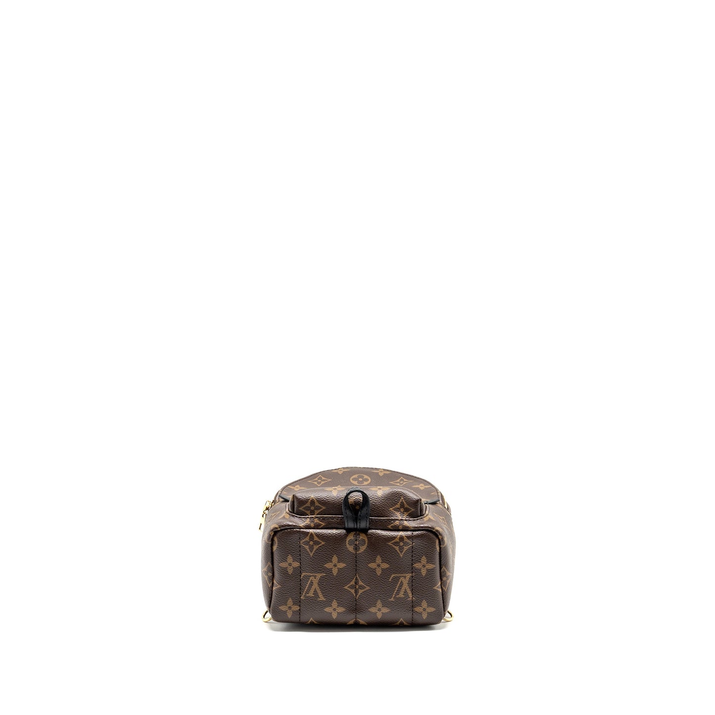 Louis Vuitton Palm Spring Mini Backpack monogram canvas