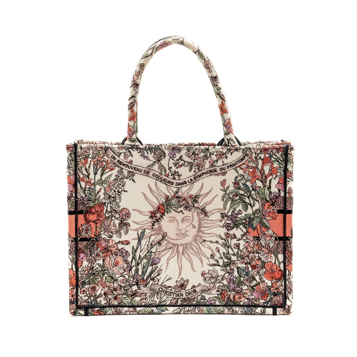 Dior Medium Book Tote Limited Edition Canvas Multicolour
