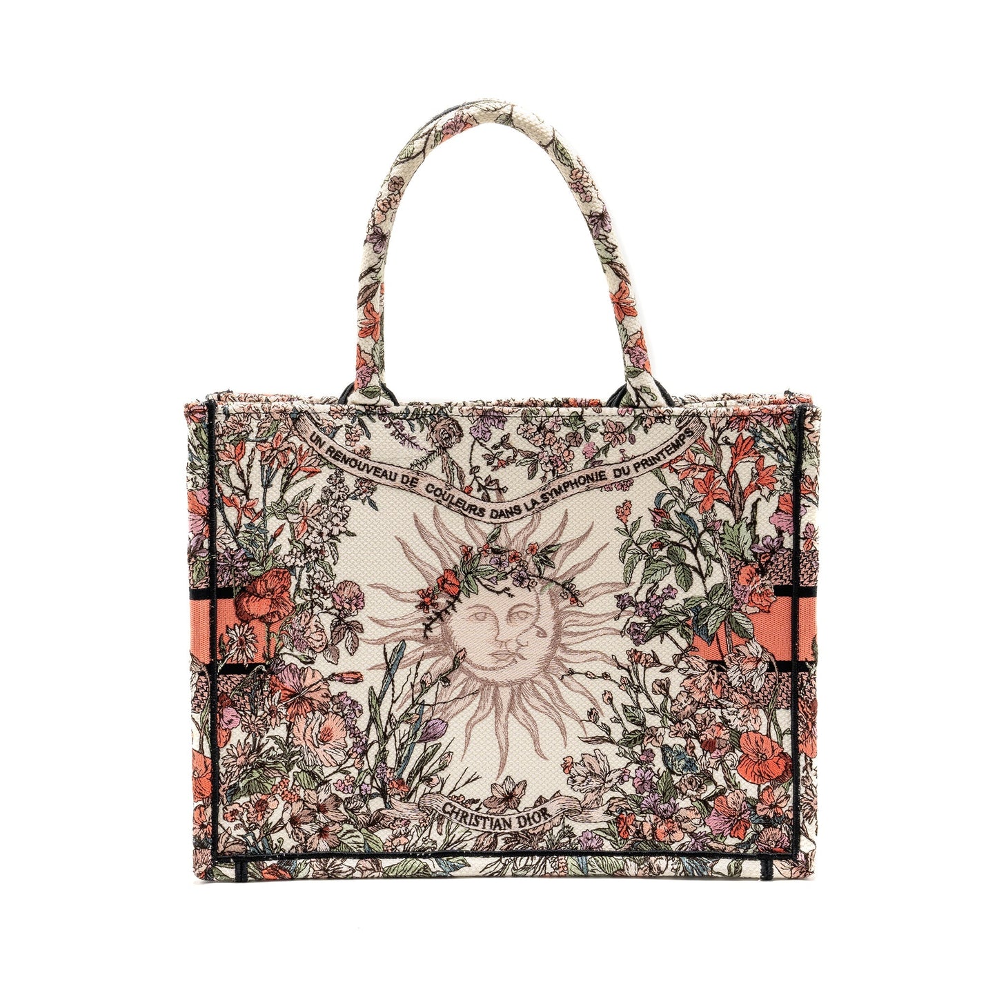 Luxury Dior Medium Book Tote Limited Edition Canvas Multicolour