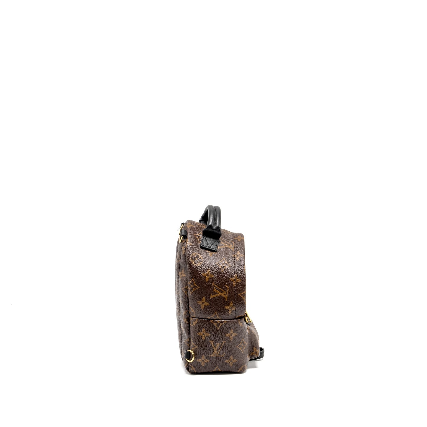 Louis Vuitton Mini Palm Spring Backpack Monogram Canvas GHW