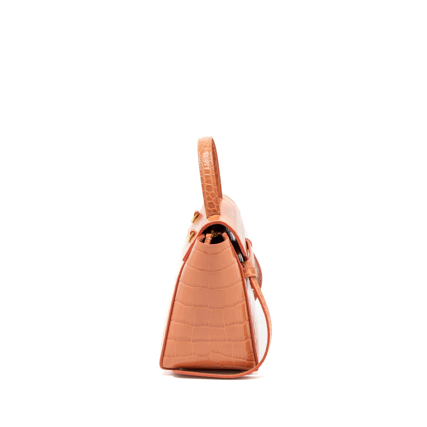 Celine Nano Belt Bag Croc Embossed Calfskin Lychee GHW