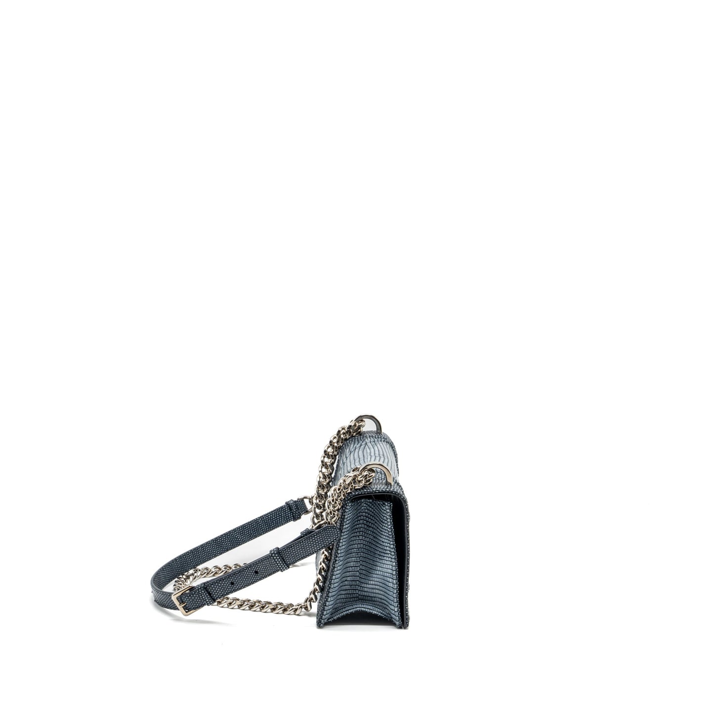 Luxury Dior small Luxury Diorama lizard silver/multicolour SHW