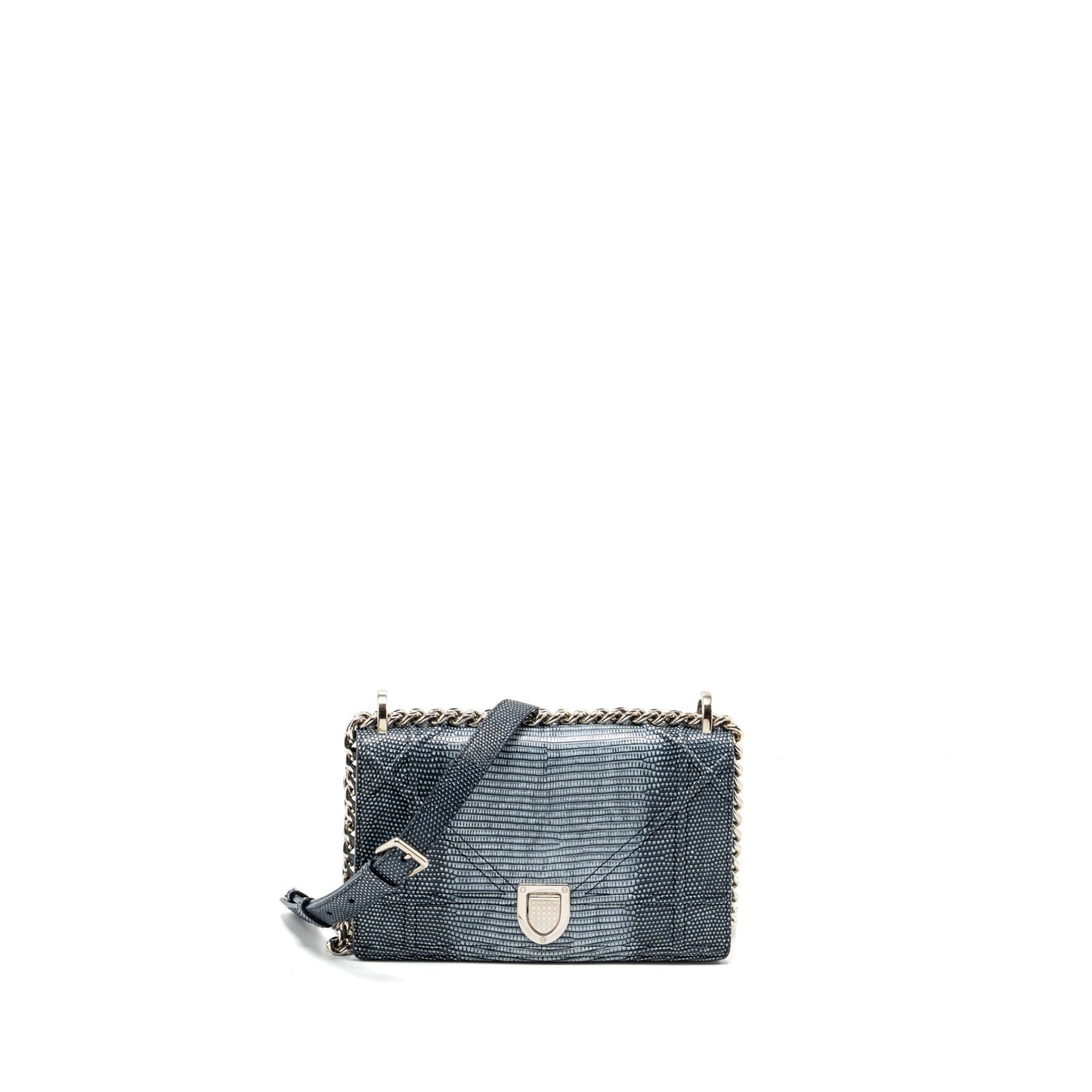 Luxury Dior small Luxury Diorama lizard silver/multicolour SHW