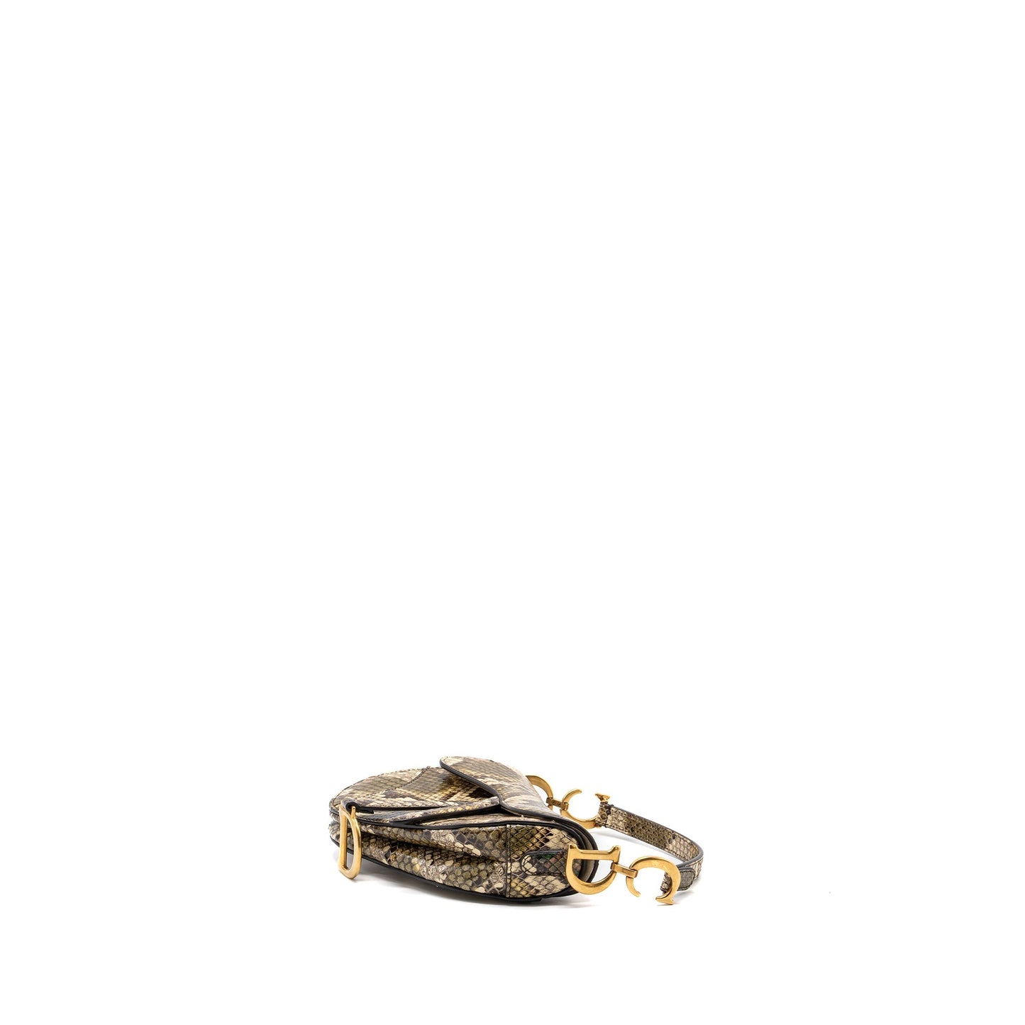 Luxury Dior Mini Saddle Bag Python Multicolour GHW