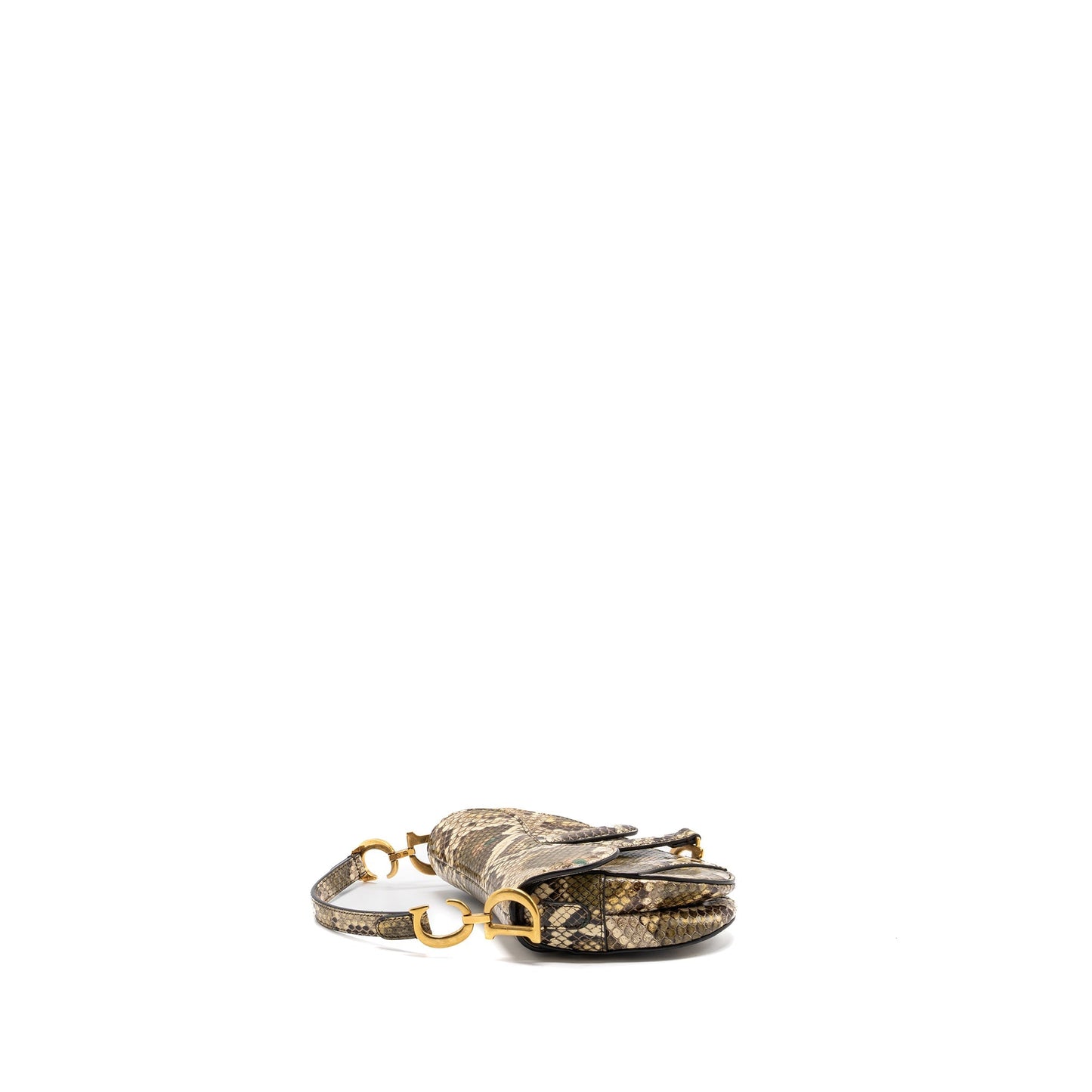 Luxury Dior Mini Saddle Bag Python Multicolour GHW