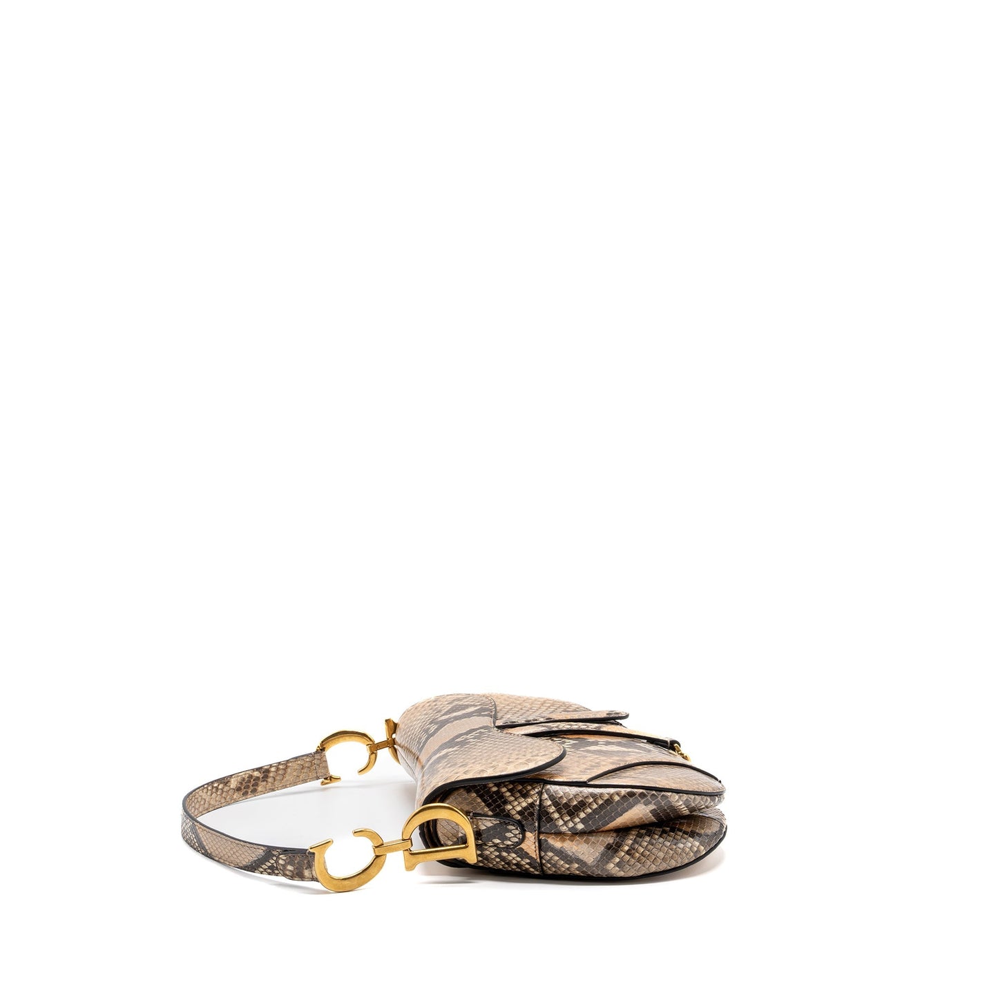 Luxury Dior Medium Saddle Bag Python Multicolor GHW