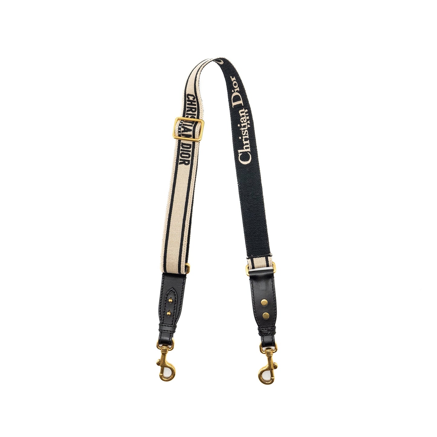 Luxury Dior Adjustable Shoulder Strap embroidery Multicolour GHW