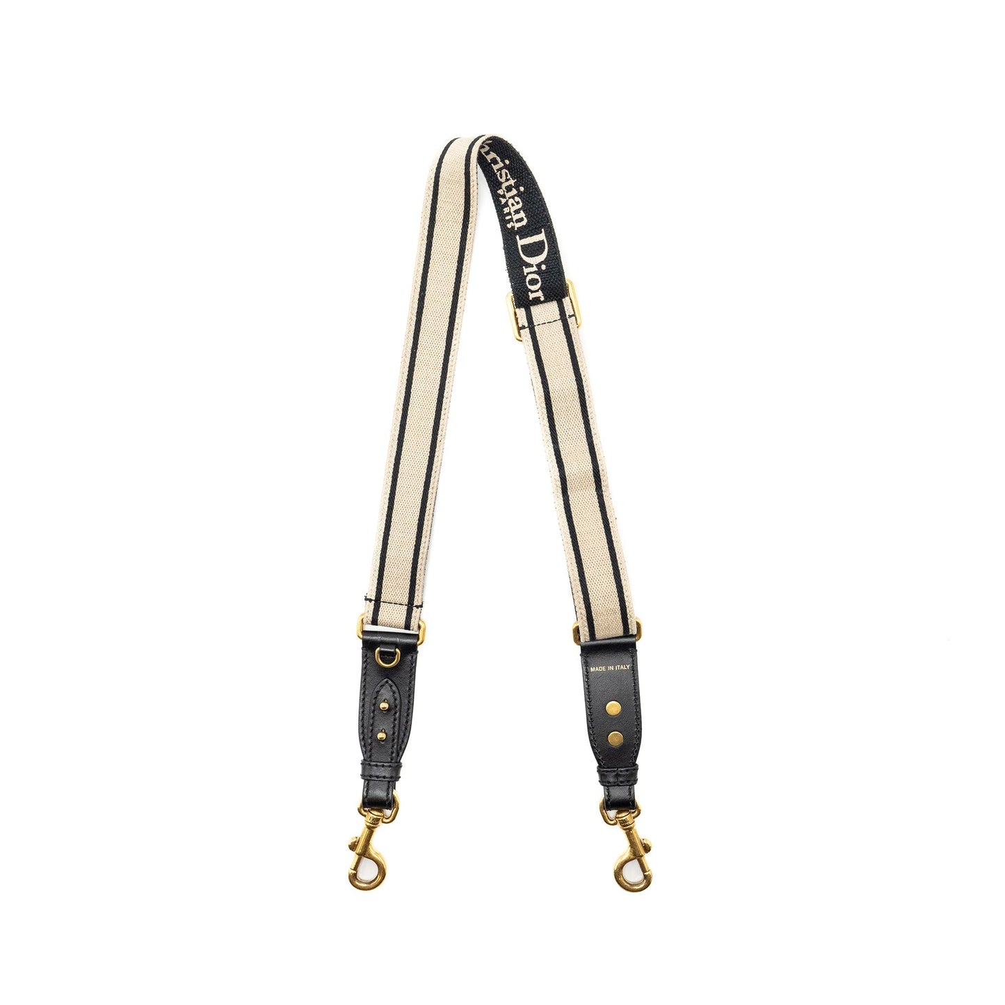 Luxury Dior Adjustable Shoulder Strap embroidery Multicolour GHW