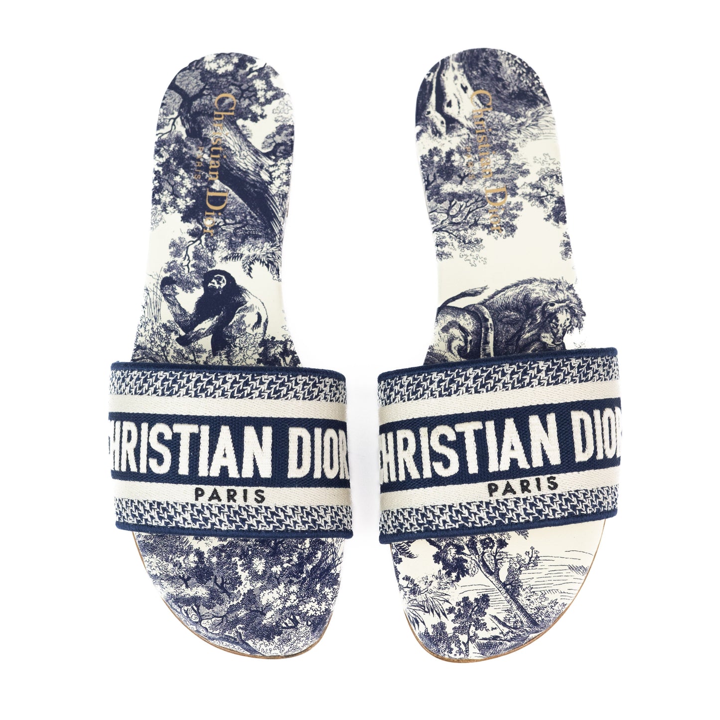 Dior Dway Slides Deep blue