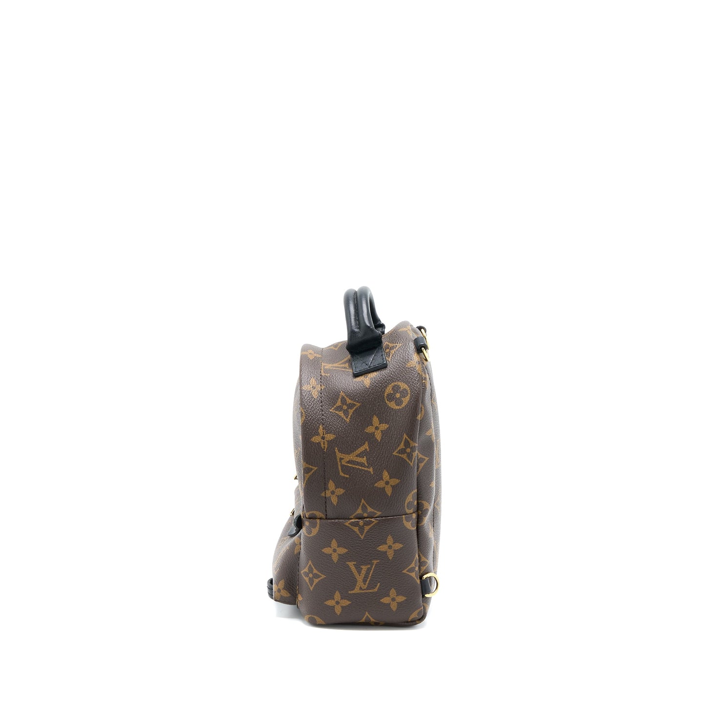 Louis Vuitton Palm Spring Mini Backpack Monogram Canvas GHW