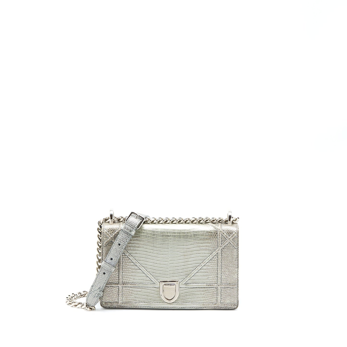 Luxury Dior Small Luxury Diorama Lizard Metallic Silver SHW