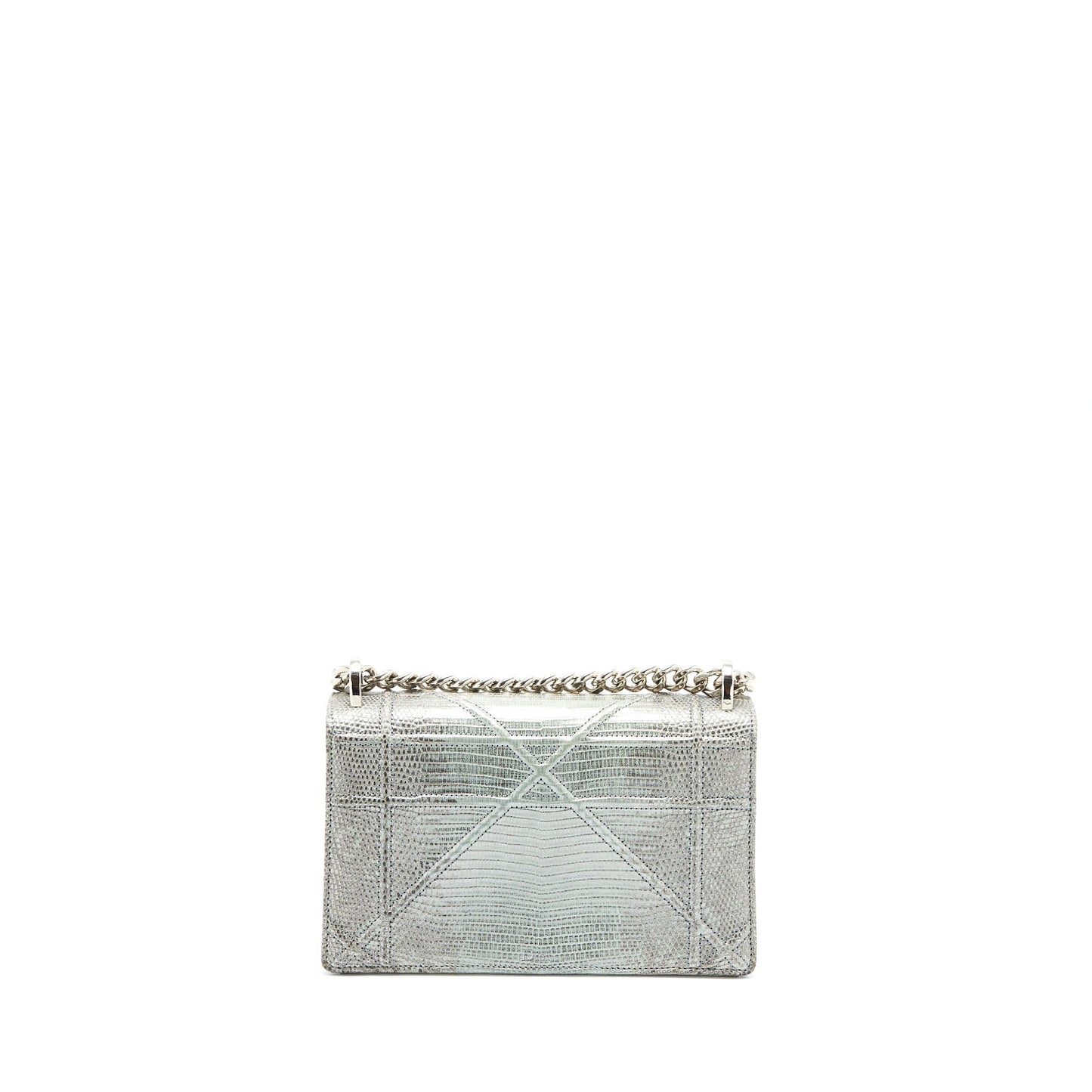 Luxury Dior Small Luxury Diorama Lizard Metallic Silver SHW