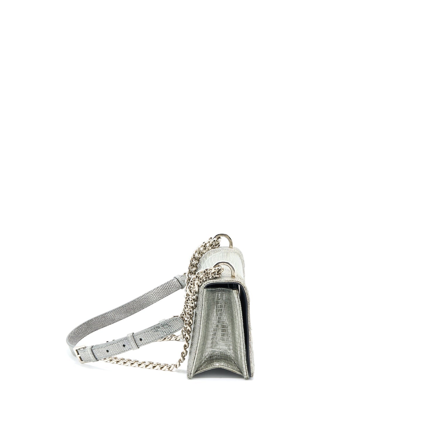 Luxury Dior Small Luxury Diorama Lizard Metallic Silver SHW