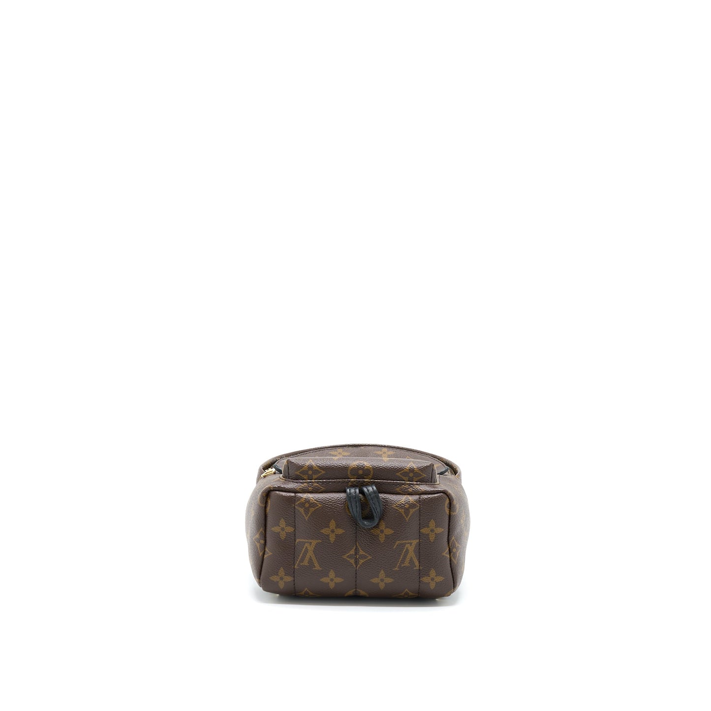 Louis Vuitton Palm Spring Mini Backpack Monogram Canvas GHW