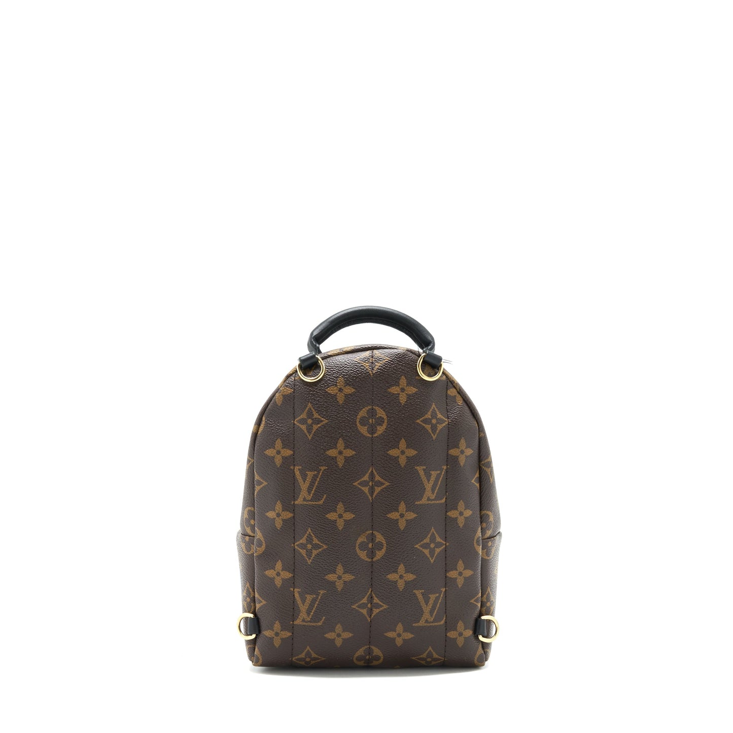Louis Vuitton Palm Spring Mini Backpack limited Edition