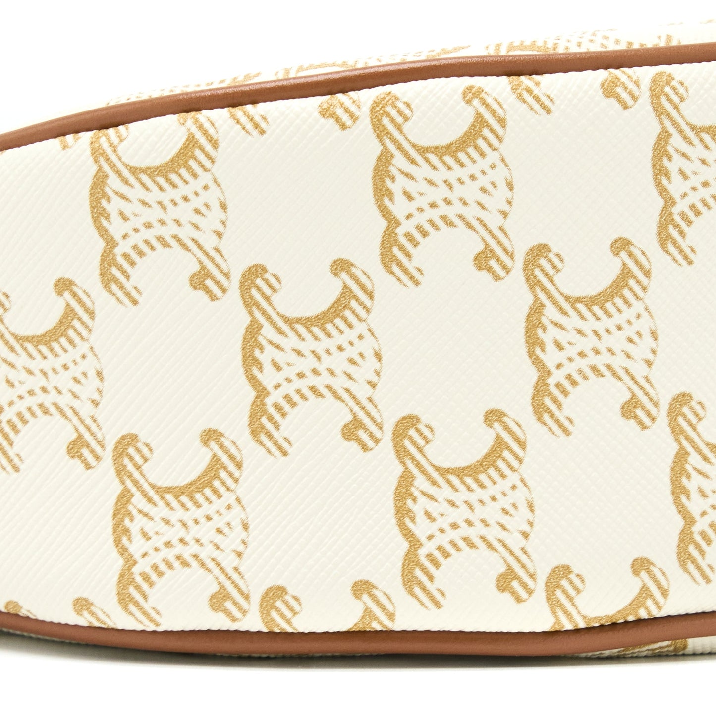 Celine Ava Bag in Triomphe Canvas/Calfskin White GHW