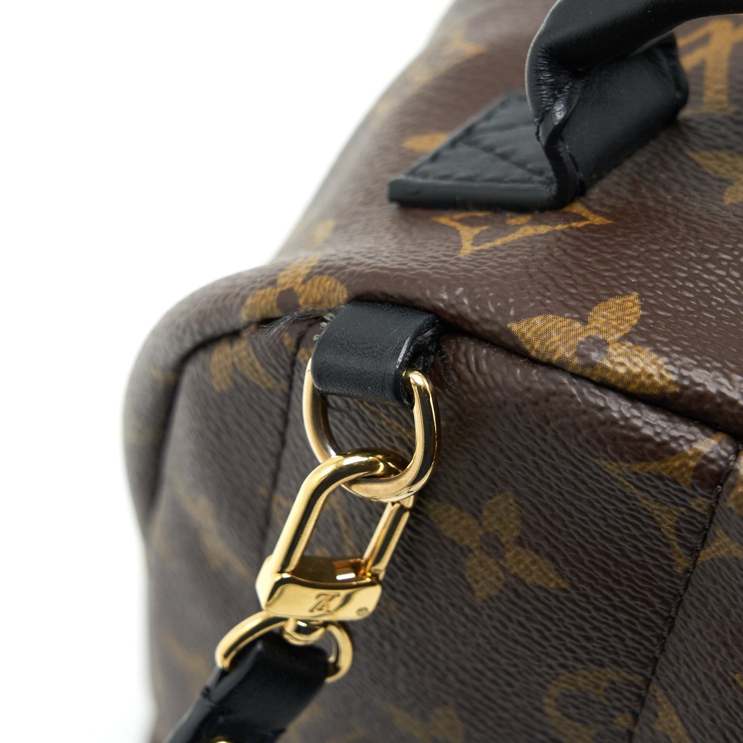 Louis Vuitton Palm Spring Mini Backpack Monogram Canvas
