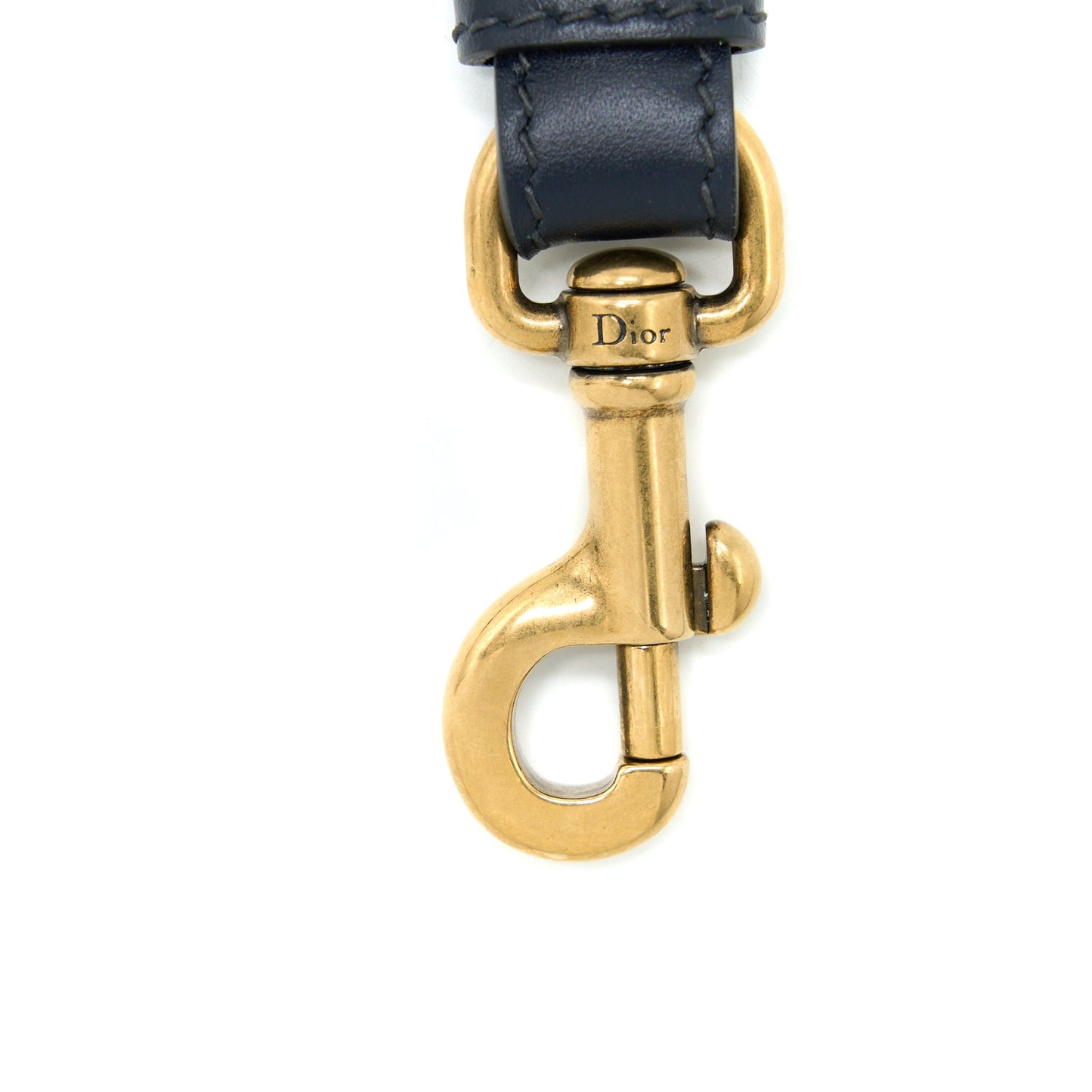 Luxury Dior Shoulder Strap Oblique Canvas/Calfskin Blue Brushed GHW