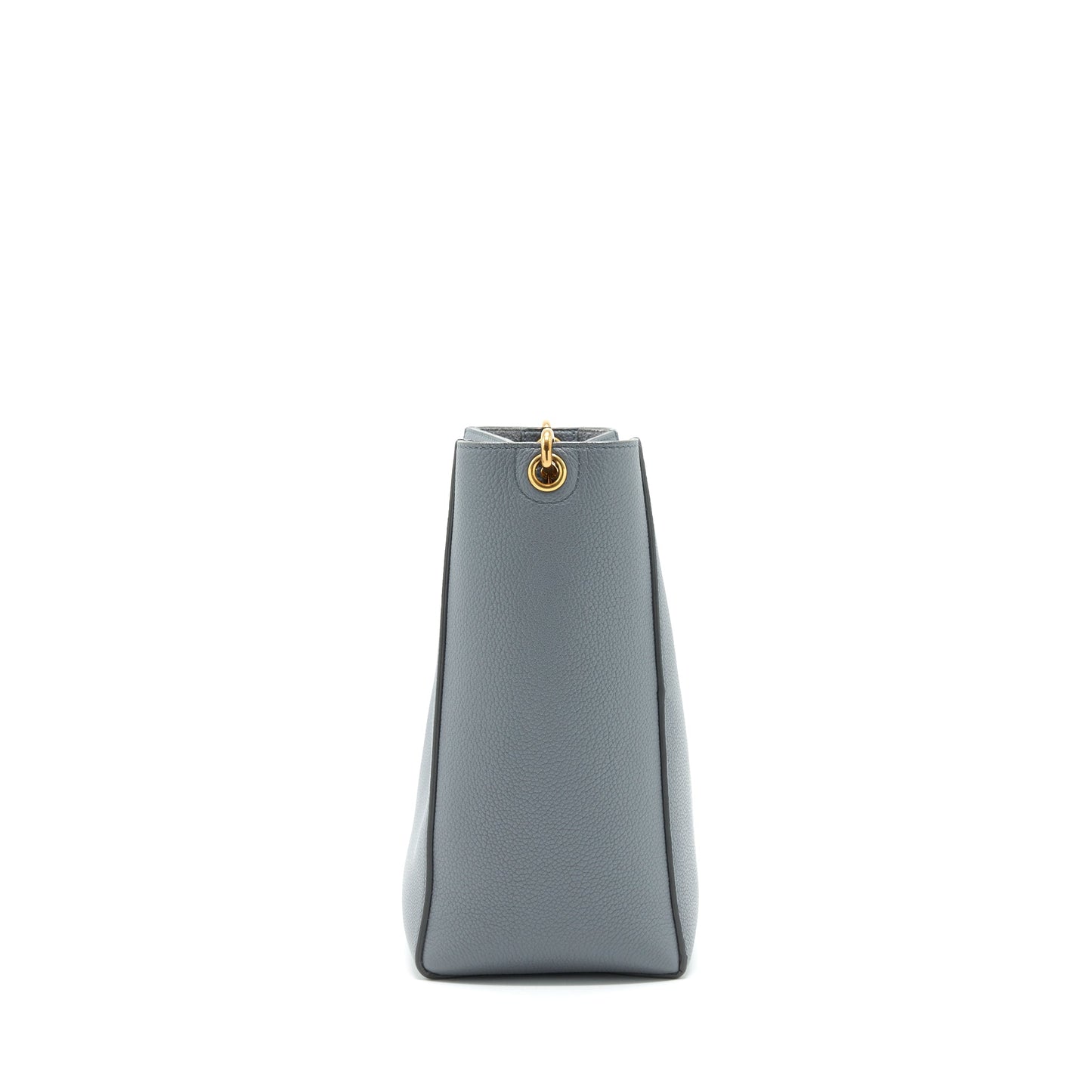Celine Small sangle Bucket bag Grey GHW