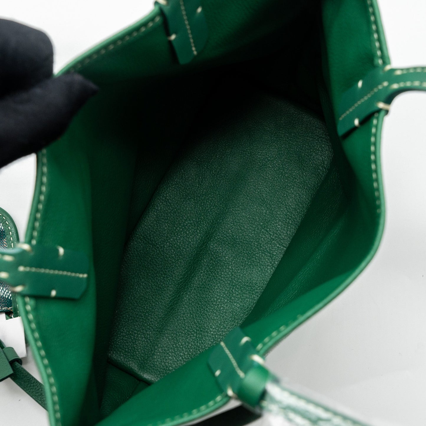 Goyard mini Anjou tote bag canvas / calfskin green SHW
