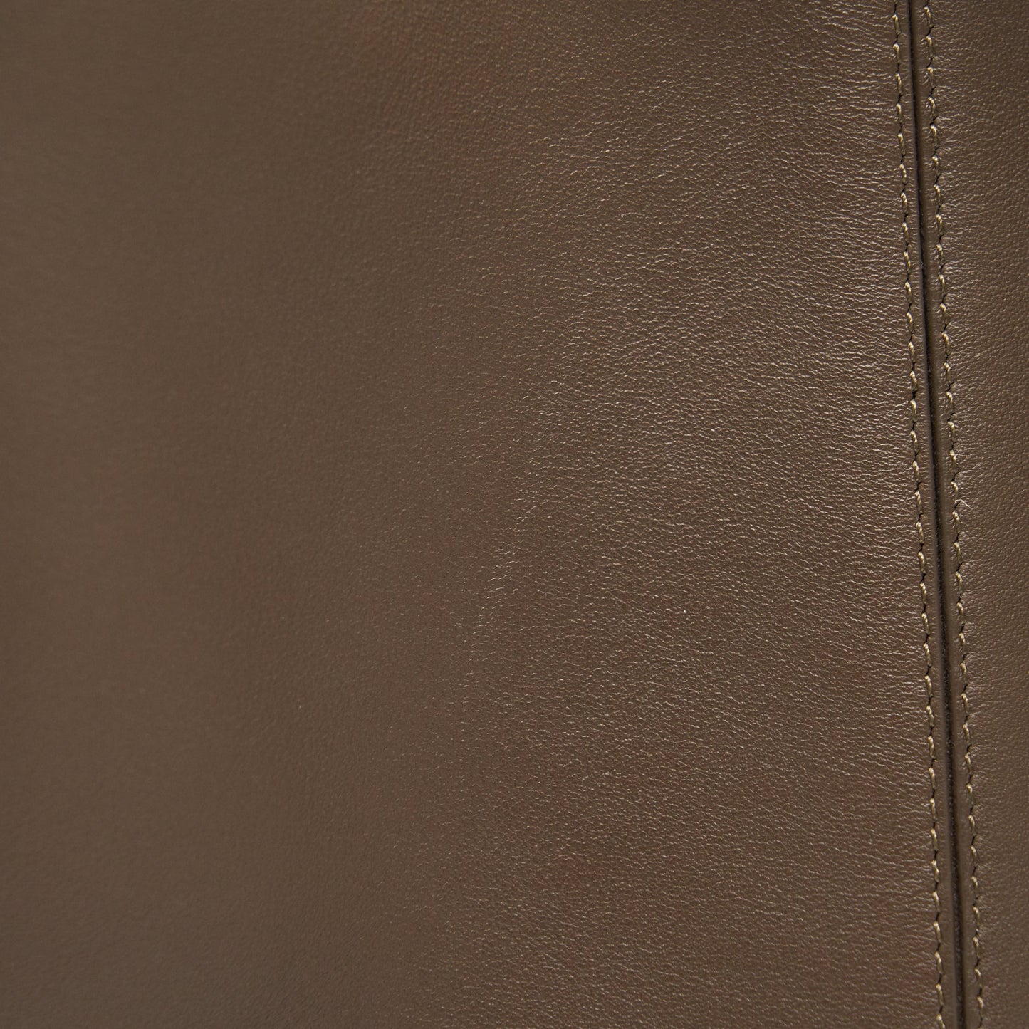 Fendi Peekaboo X-Lite Medium Brown GHW