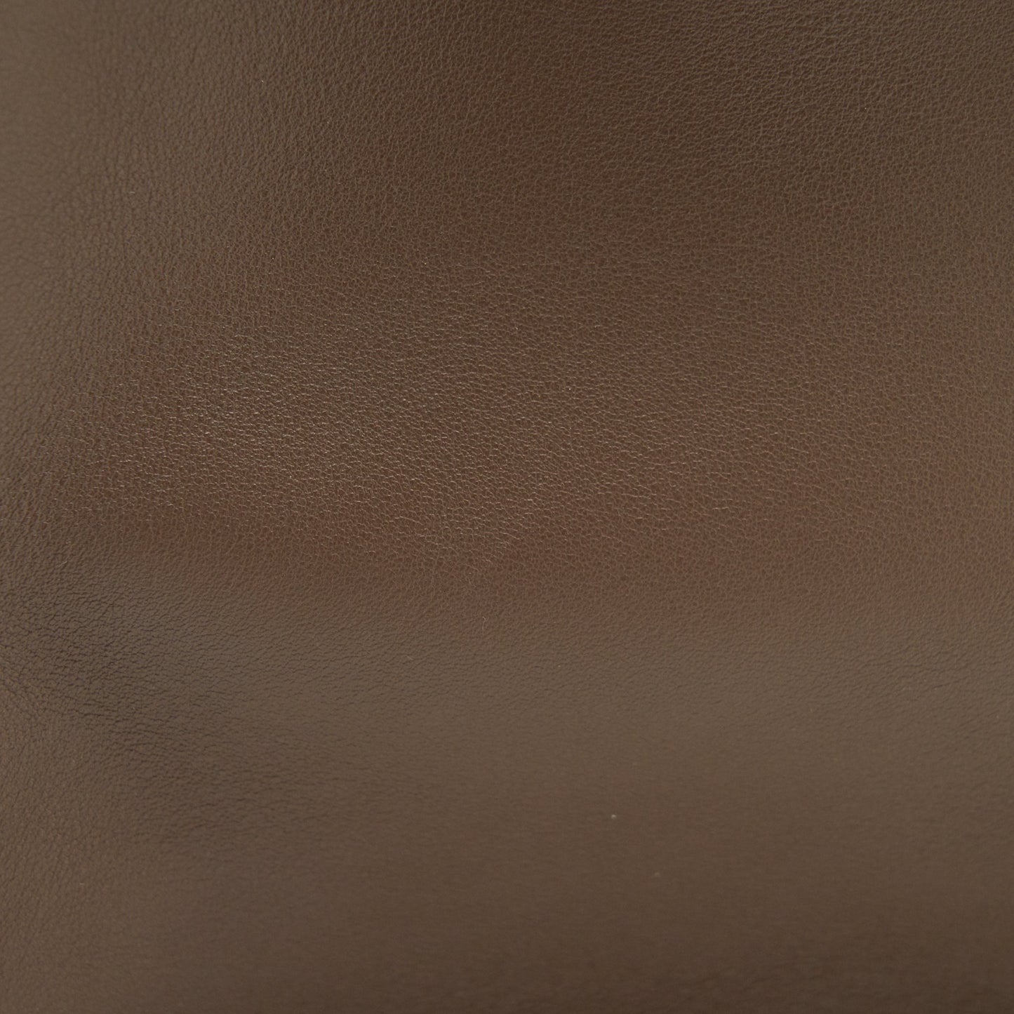 Fendi Peekaboo X-Lite Medium Brown GHW