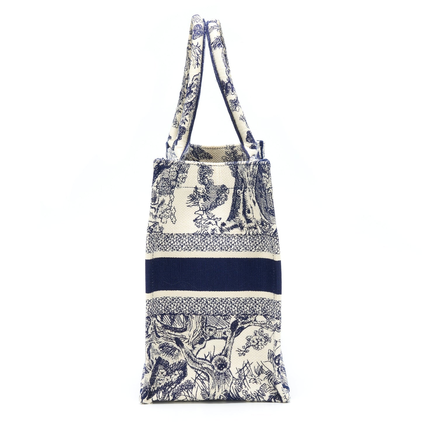 Luxury Dior Medium Book Tote Limited Edition