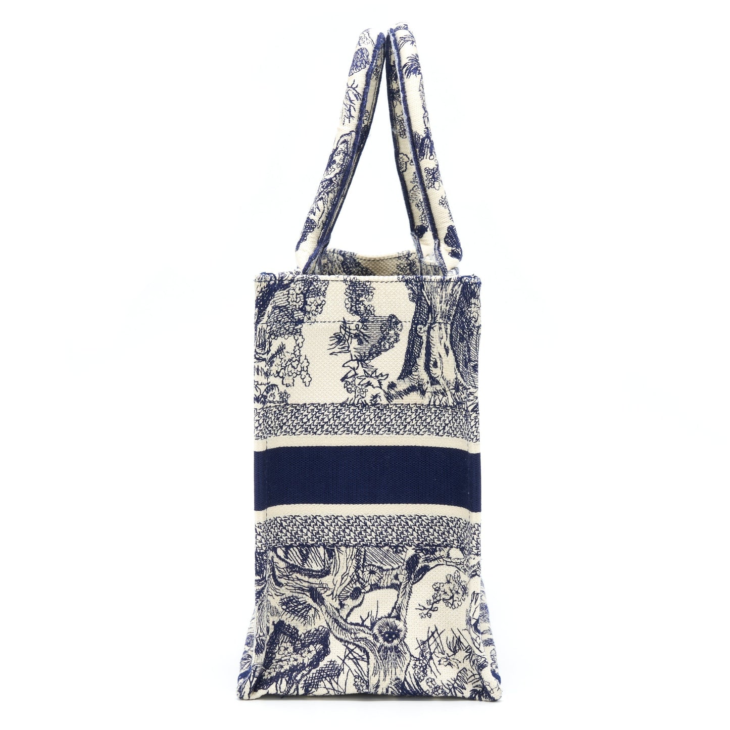 Luxury Dior Medium Book Tote Limited Edition