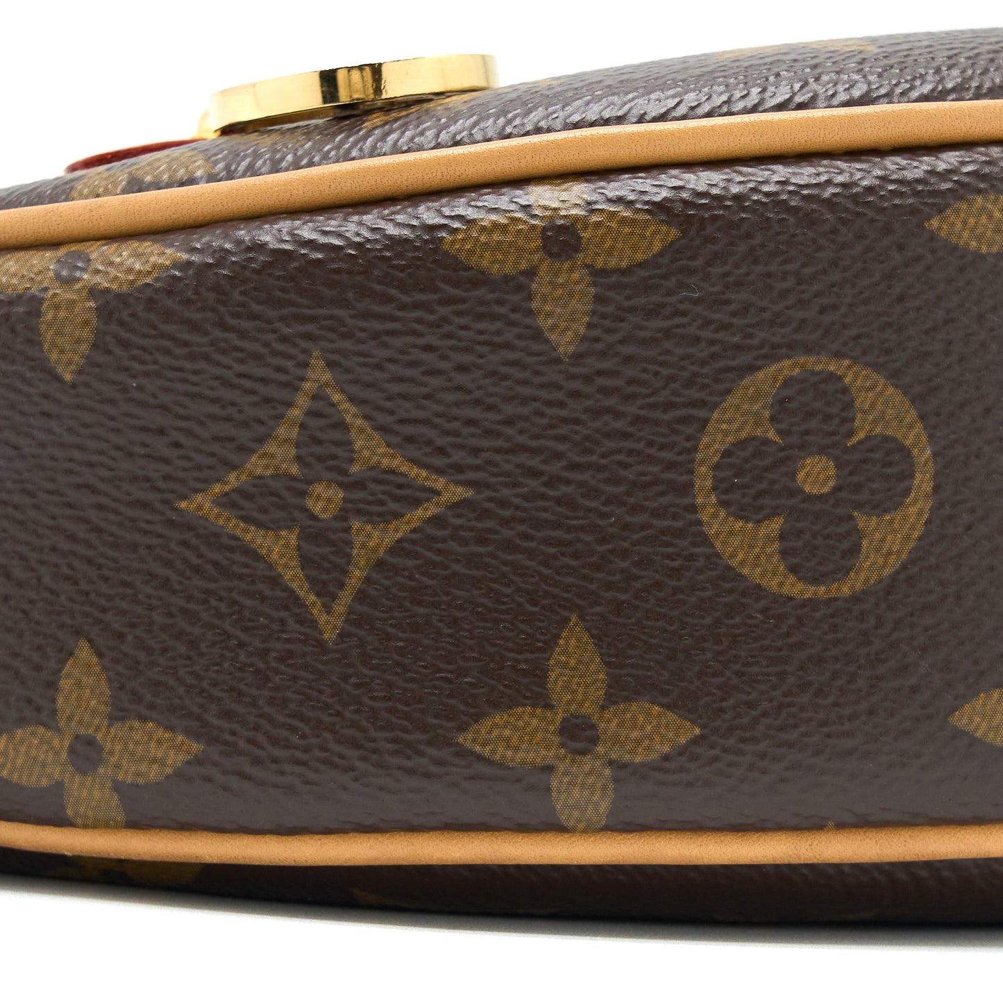 Louis Vuitton Loop Bag Monogram Canvas GHW (New Version)