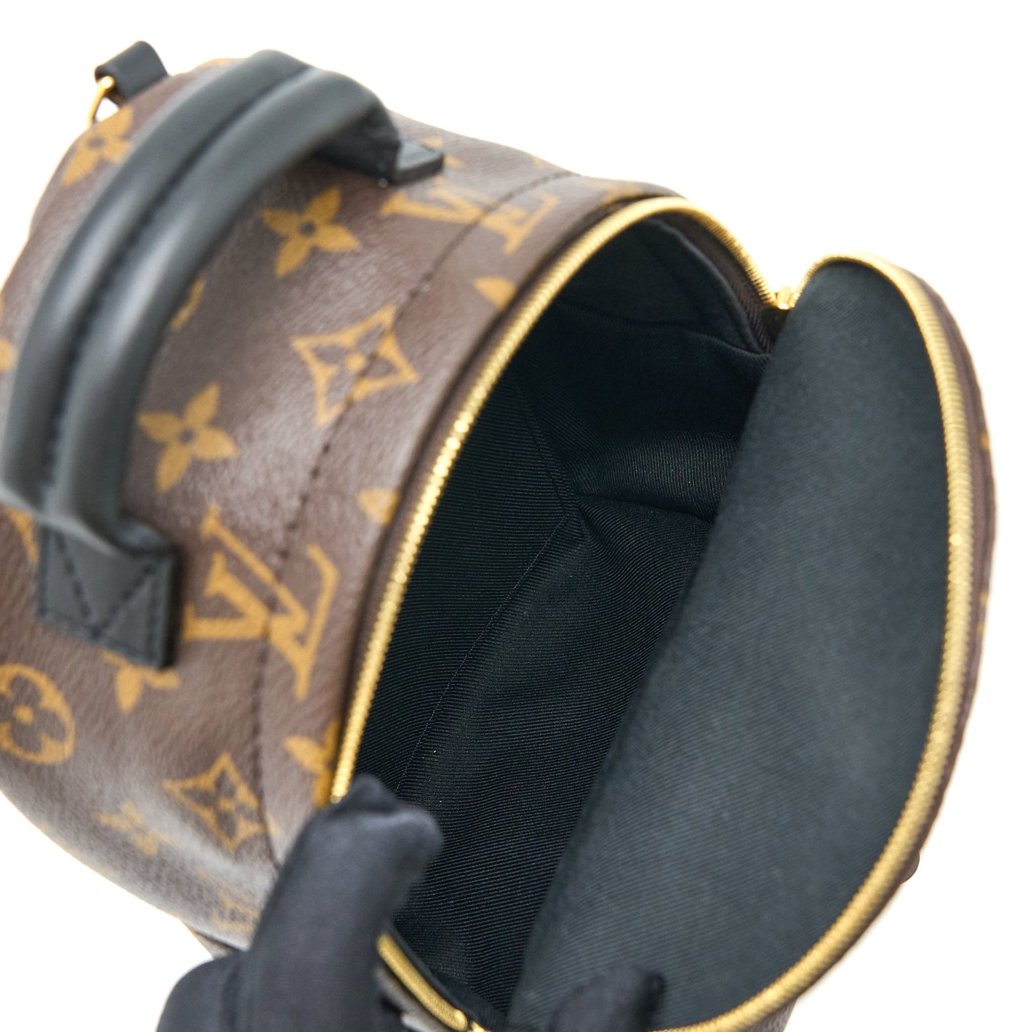 Louis Vuitton Palm Spring Mini Backpack Monogram Canvas GHW (New Version)