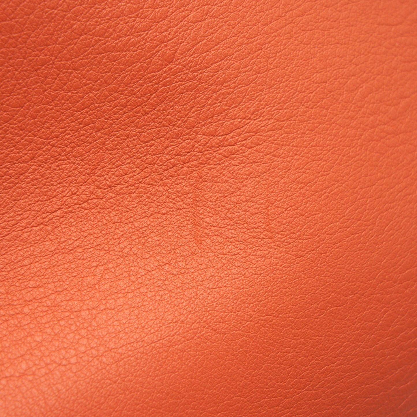 LOEWE Anton Sling in Soft Grained Calfskin in Pumpkin