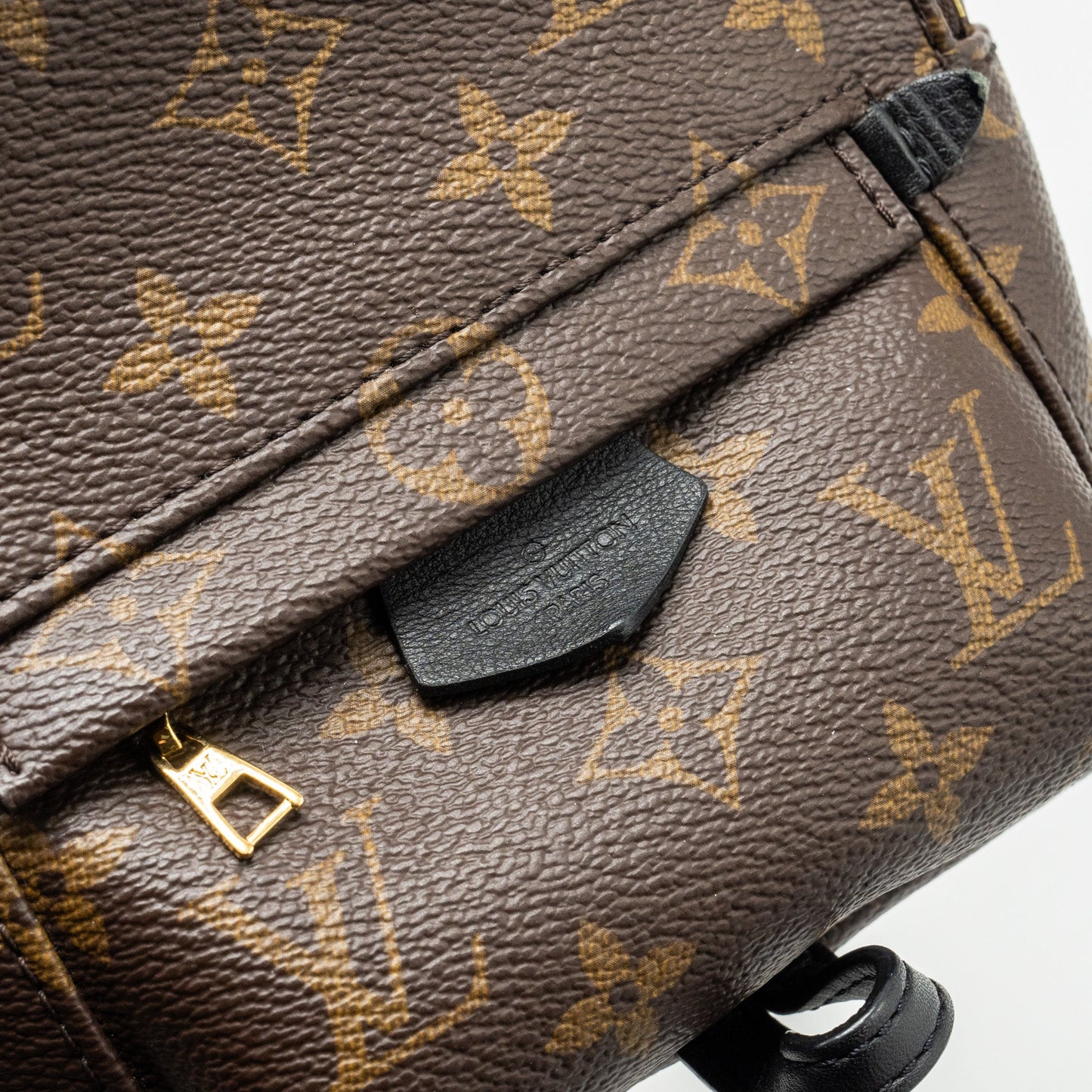 Louis Vuitton  Mini Palm Spring Backpack Monogram Canvas GHW