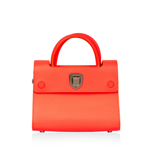Luxury Dior Luxury Diorever Mini