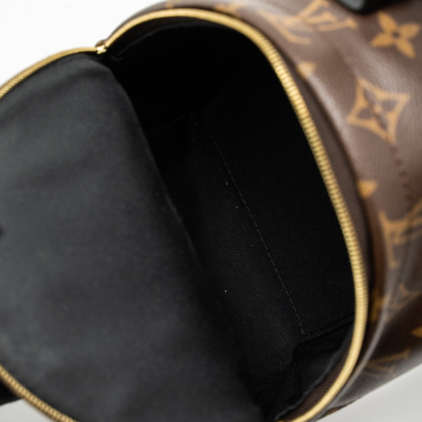 Louis Vuitton Mini Palm Spring Backpack Monogram Canvas GHW (New Version)