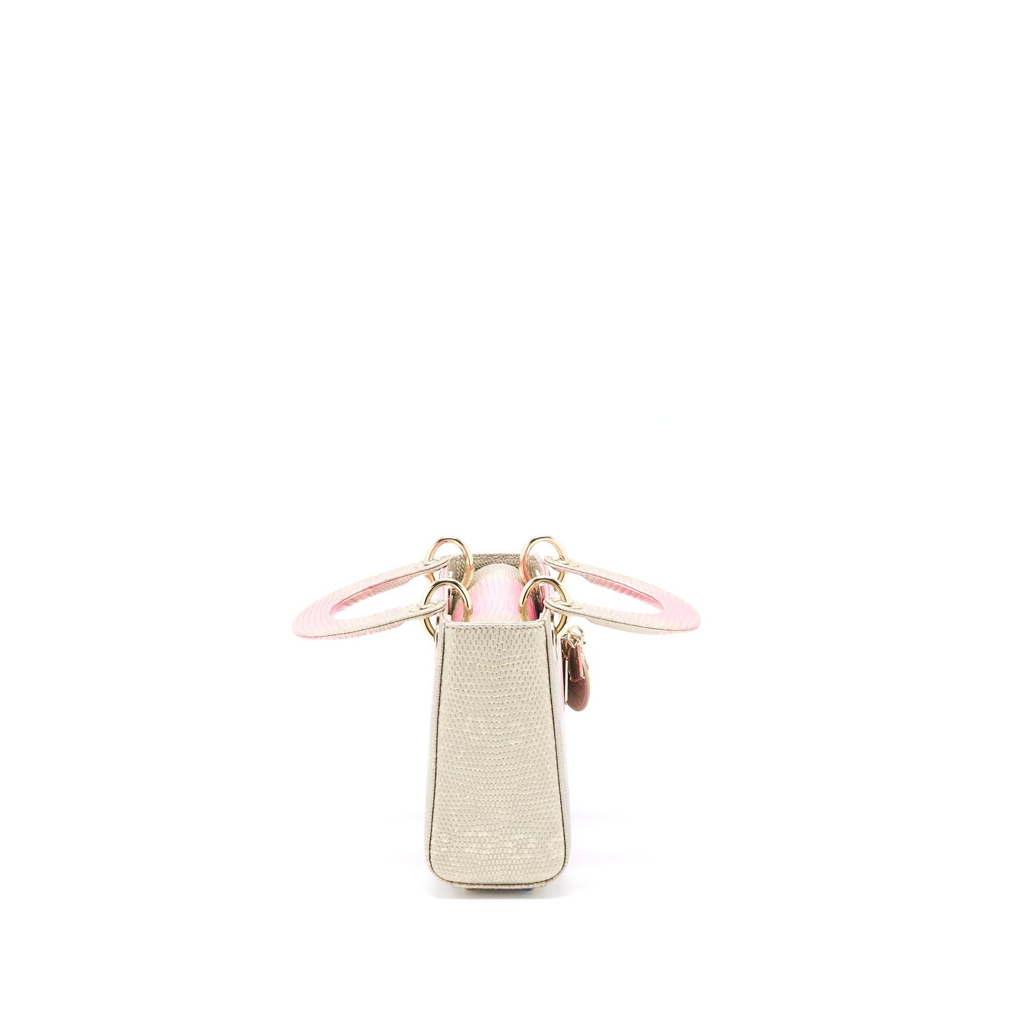 Luxury Dior Mini Lady Luxury Dior Lizard Pink Multicolour LGHW