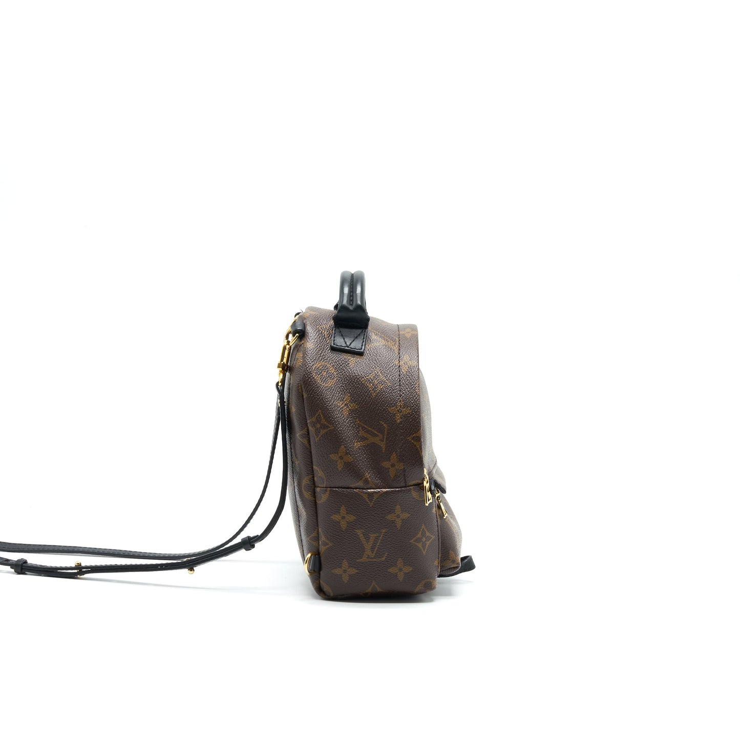 LOUIS VUITTON MINI PALM SPRINGS BAG MONOGRAM CANVAS