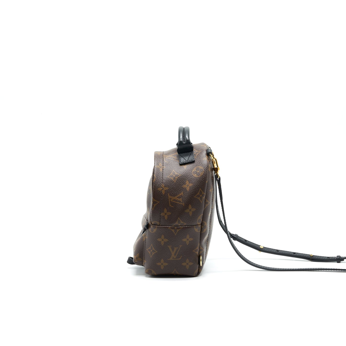 LOUIS VUITTON MINI PALM SPRINGS BAG MONOGRAM CANVAS